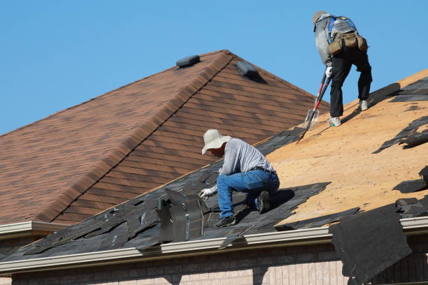 Best Skylight Installation and Repair  in Walnut Ridge, AR