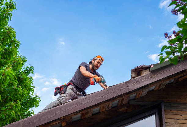Best Commercial Roofing Services  in Walnut Ridge, AR