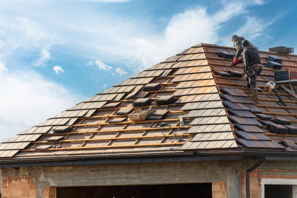 Best Roof Moss and Algae Removal  in Walnut Ridge, AR